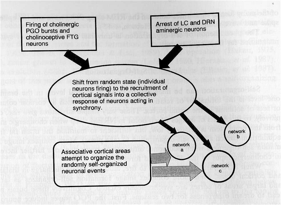 Activation-synthesis theory criticism image