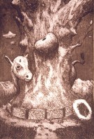 Select for larger picture