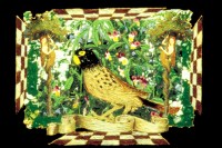 Select for larger picture