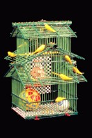 Select for larger picture