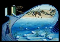 Select for larger picture